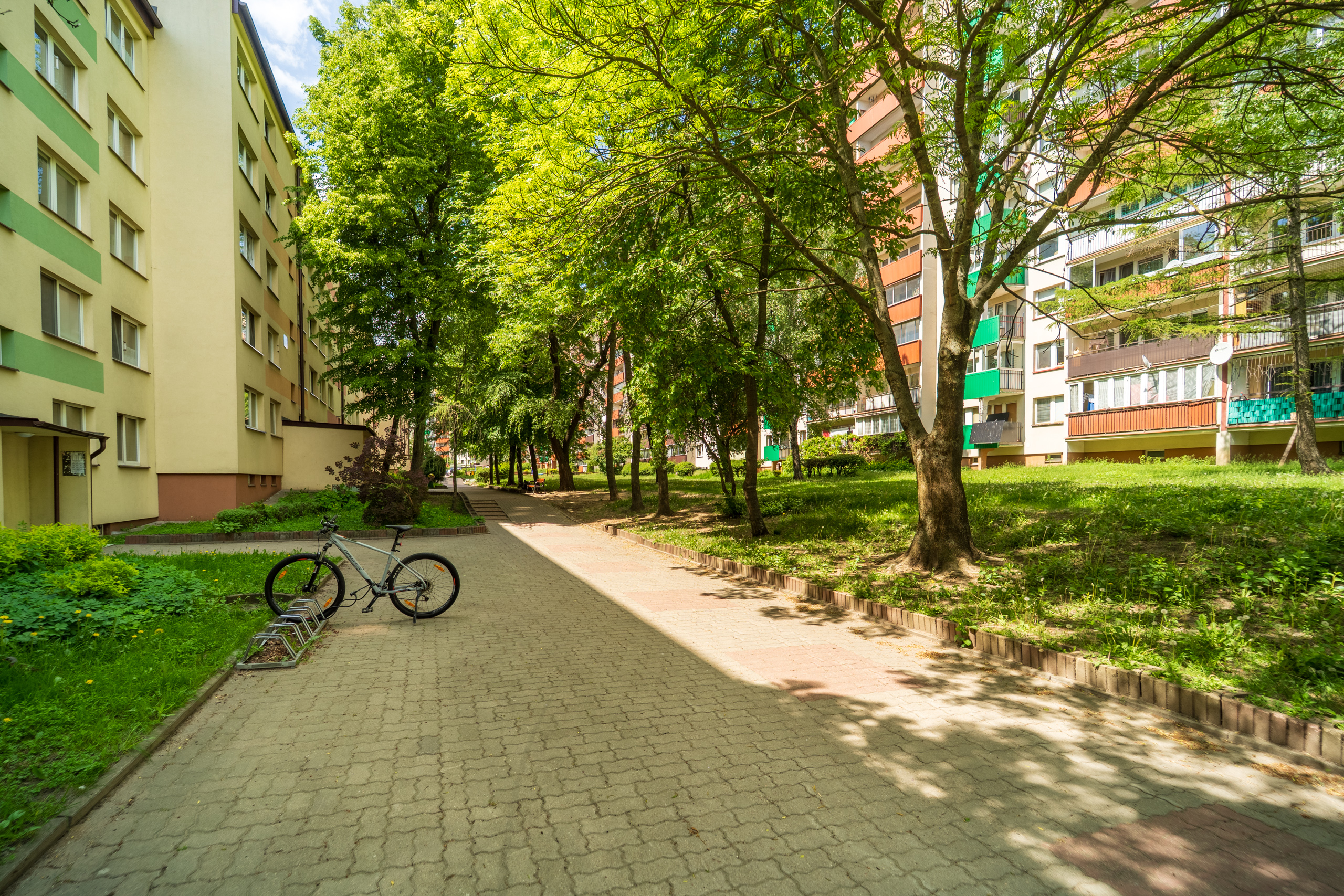Komfortowe 3 pokoje Hallera